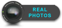 Fotos Reales